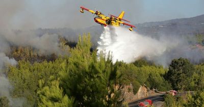 Portugal wildfire alert as temperatures could hit 43C in the country