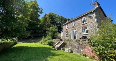The most viewed homes in Wales include rundown farm for renovating and country house with garden lodge