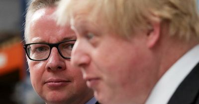 Michael Gove's ex-wife reveals his cutting reply when sacked by Boris Johnson