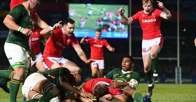 South Africa v Wales exact scoreline predicted as Springboks boss 'hands Welsh another decent chance'