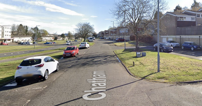 East Kilbride thugs hunted after man attacked in own home