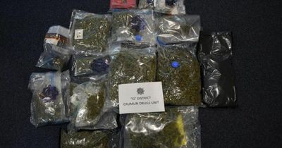Pair arrested after over €100,000 worth of cannabis seized in Dublin sting
