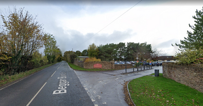 Driver taken to hospital after crash which 'injured' horse near Bristol