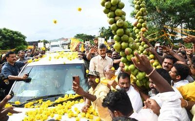 Andhra Pradesh: House panel probe into Pegasus issue a farce, says Naidu