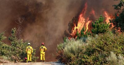 Portugal issues deadly wildfire warning as ferocious temperatures bake country