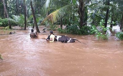 13 districts in Karnataka battered by rain; residents of landslide locations to be shifted