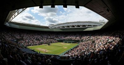 When is the Wimbledon men's final and who will play in it?