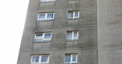Mum of Leeds baby who died in tragic tower block fall 'asked council twice for window repairs'