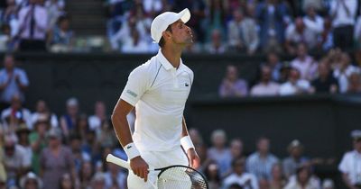 Novak Djokovic booed by Wimbledon crowd after blowing kisses to a fan in victory over Cameron Norrie