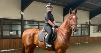 Police horse injured in crash which hospitalised elderly man near Bristol