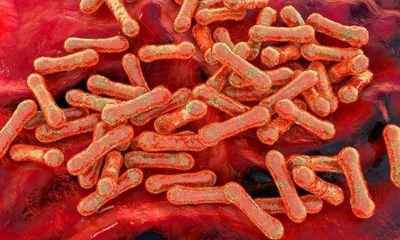 Now diphtheria: is northern NSW incubating another Australian health crisis?