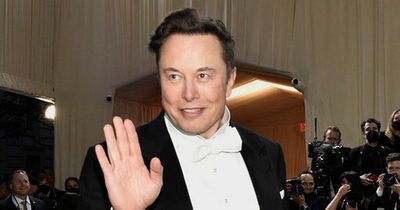 Elon Musk says he is terminating $44bn Twitter buyout deal