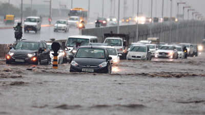 Six dead as heavy rain batters Gujarat