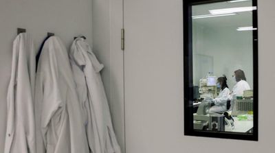 Lab-Grown Kidneys Help Unveil Secrets of Rare Disease