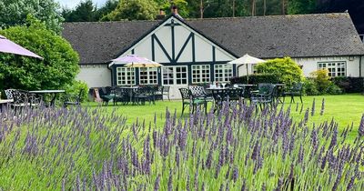 The best beer garden going? The Cheshire country pub with a lavender meadow