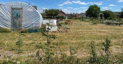 'Lack of respect' as youths climb into community garden in Cotgrave