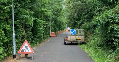 Comber Greenway lights installation under way as part of pilot scheme