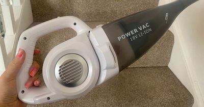 I tried Aldi's SpecialBuy £29 'mini vacuum cleaner' and it had some serious power