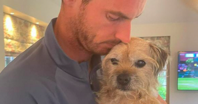 Andy Murray mourns the loss of beloved pet dog in heartbreaking Instagram post