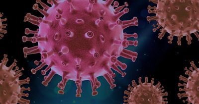 Covid expert warns of new symptoms appearing at night