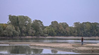 Huge crop losses expected as Italy endures prolonged heatwave