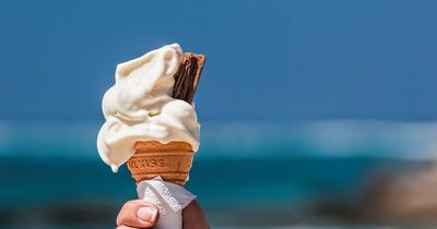 The six types of people you always see in Ireland when the sun comes out