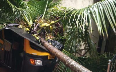 Rain havoc in Kerala: 10 houses damaged in Kozhikode