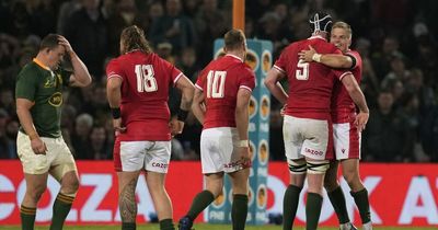 The reasons Wales just pulled off heroic victory in South Africa as incredible attitude sees them through