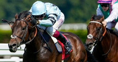 Sunday racing tips and Nap from Newsboy for fixtures at Perth and Stratford