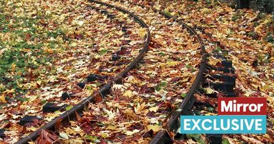 Leaves on railway tracks caused 3,000 hours of delays over the past four years