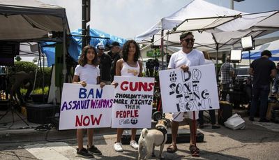 Only blocking assault gun access will lead to fewer mass shootings