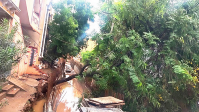 Moderate rain triggers torrent of misery in Hyderabad, worst yet to come