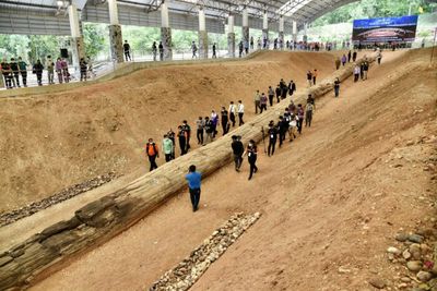 Big log earns Guinness World Record plaudit