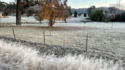 Brisbane City records coldest morning this year, as several Queensland towns drop below freezing