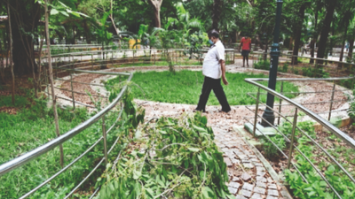 Chennai: Tambaram corporation invites residents to take up maintenance of parks; activists criticise move