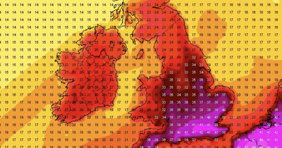 Ireland weather: Experts warn Ireland could see edge of scalding 43C heat as the UK prepare for 'worst case scenario'