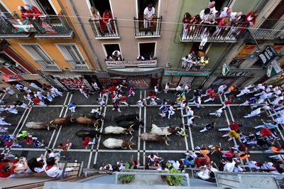 No gorings yet in 4 days of Pamplona bull run festival