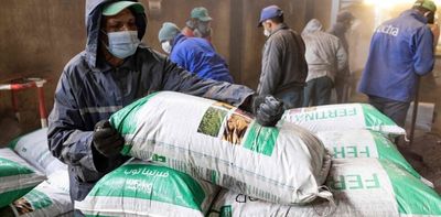 Morocco - a top fertiliser producer - could hold a key to the world’s food supply