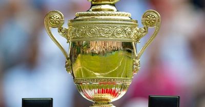 Wimbledon prize money: What Novak Djokovic and Nick Kyrgios stand to win in SW19 final