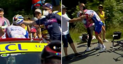Tour de France rider Thibaut Pinot wiped out as rival soigneur whacks him in the face