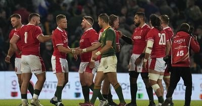 South Africa v Wales media reaction: Match labelled an 'experiment' as Springboks predict comfortable win next time