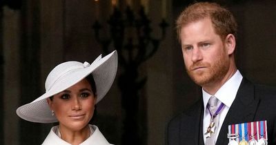 Meghan Markle and Prince Harry 'have Palace running scared' over ANOTHER Oprah interview