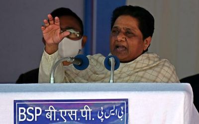 Instead of taking on BJP, Congress hurting BSP in Rajasthan by indulging in horse-trading: Mayawati