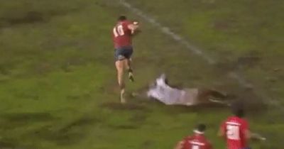 Unknown fly-half scores 'one of greatest individual tries of all time' amid power cut in crazy international