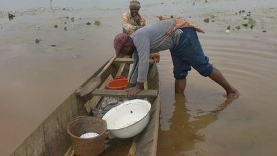 Innovative ways to supply fish to Bamenda despite Cameroon’s anglophone crisis