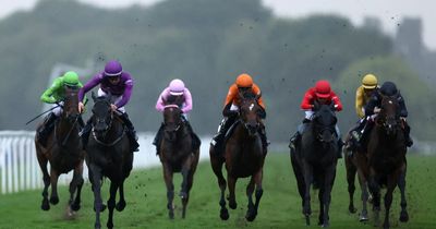 Newsboy's racing tips from Monday meetings at Ayr, Ffos Las, Newton Abbot, Windsor and Wolverhampton