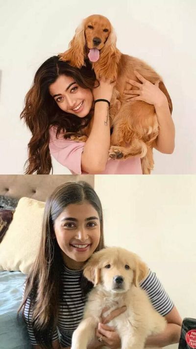 Adorable pics of Tollywood actresses with their pet dogs