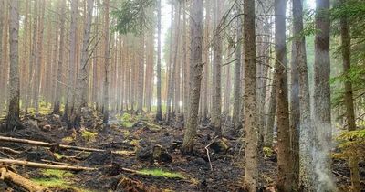 Fire crews battle blaze at Queen's Balmoral estate after 'disgraceful' behaviour