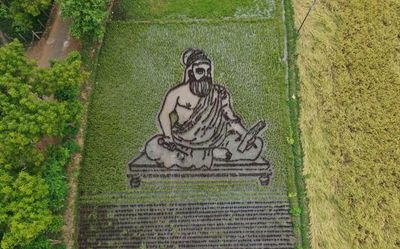 Thiruvalluvar’s image on paddy field turns Malaiappanallur a cynosure for farming community