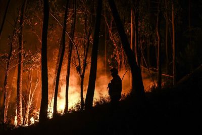 Portugal deploys 3,000 firefighters to battle heatwave blazes